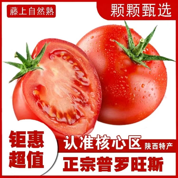 f649265260cf3f4f3dbaae9cdc530161_O1CN01MzoXGu1V3TcrWp0EL_!!2218685832597-0-cib.jpg