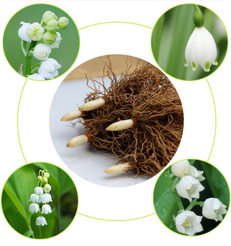 ab4b17ea7c84d4e22e726b7f700c2c59_O1CN015pX7sc2HuEKaZwiAe_!!2746289210.jpg
