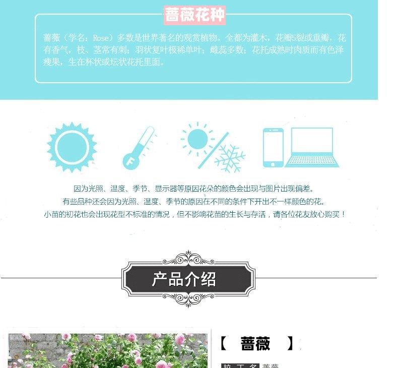 a95199fe32e79449378bf03468562352_O1CN018jvcYx1sgccT6Oj9W_!!945925796-0-cib.jpg